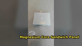 Magnesium Core Sandwich Panel 